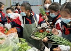 構建根底拓寬特征三級課程系統根底課程註重生